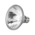 Halogen Lamp, PAR30, HISPOT-95SP